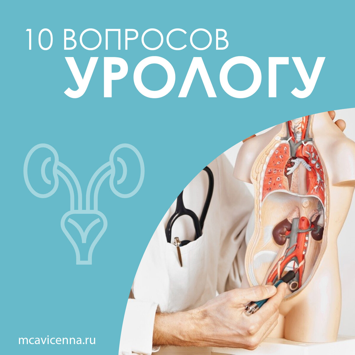 10 вопросов урологу | Медицинский центр Авиценна, Крым | Дзен