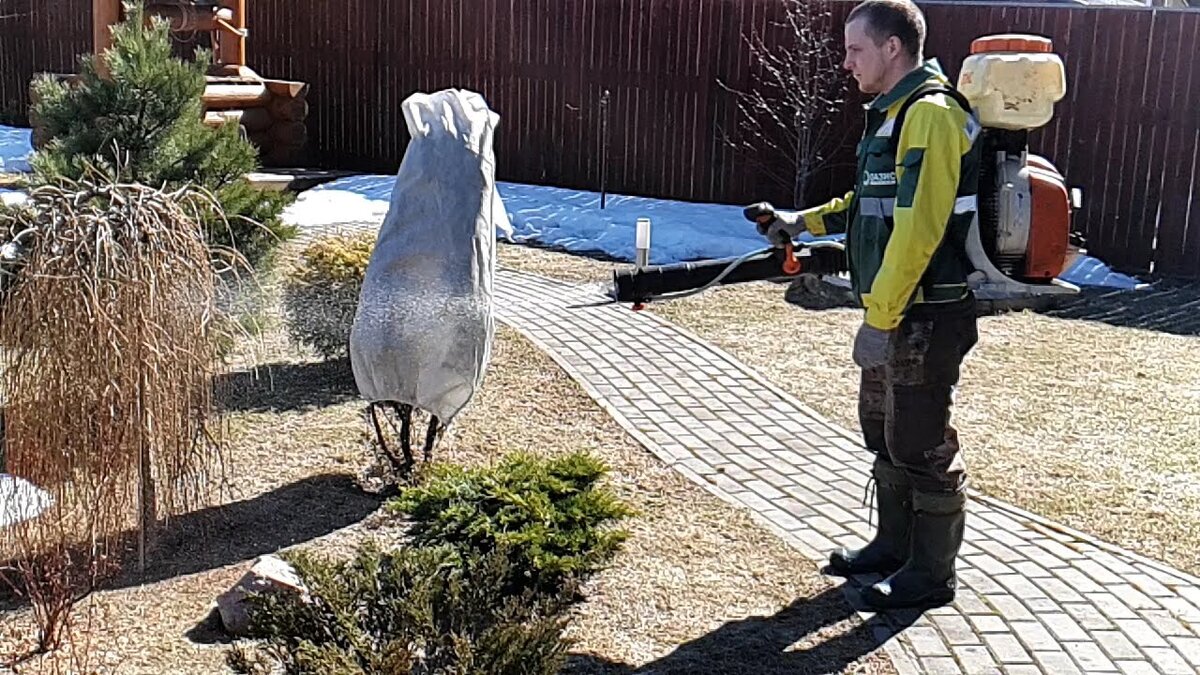 Обработка растений от болезней и вредителей "Оазис Групп" oasis-landscape.ru