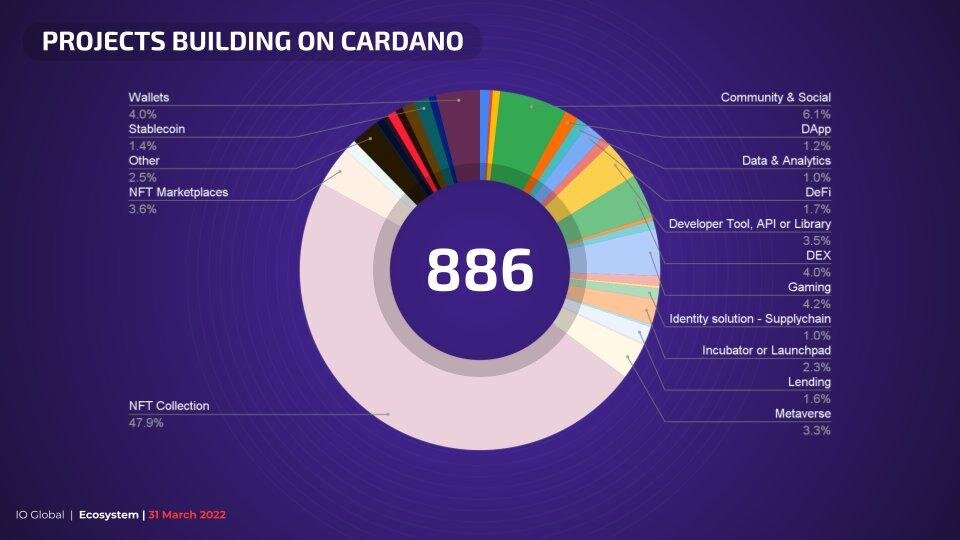 1000 проектов бай