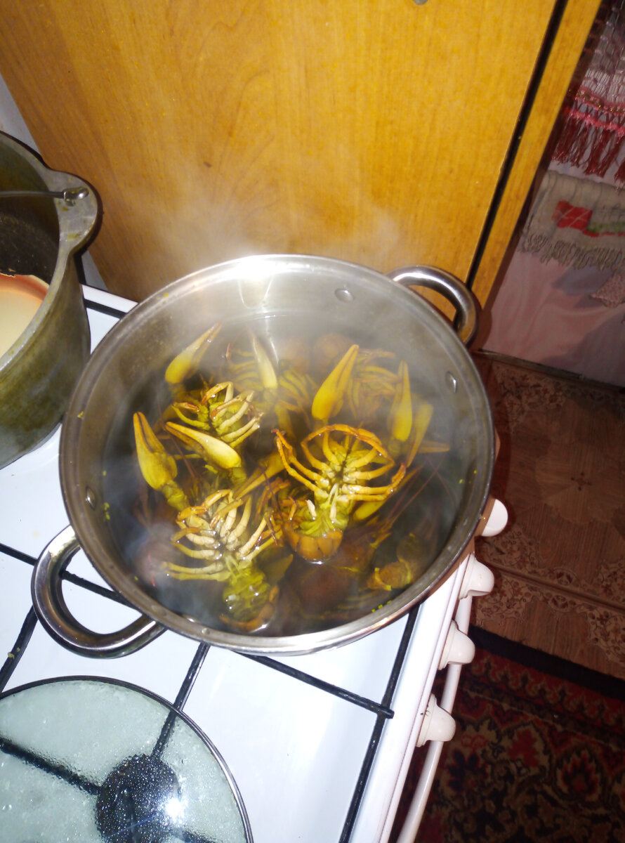 Доброго времени суток друзья 👋 