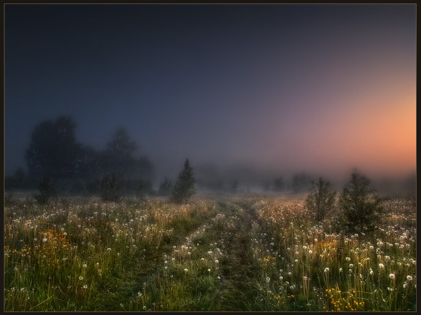 Днем вечерняя прохлада. Летняя ночь. Луг ночью. Туман вечером. Природа вечер.