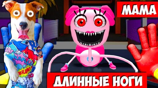 🔴 Мама длинные ноги и Амонгас 😱