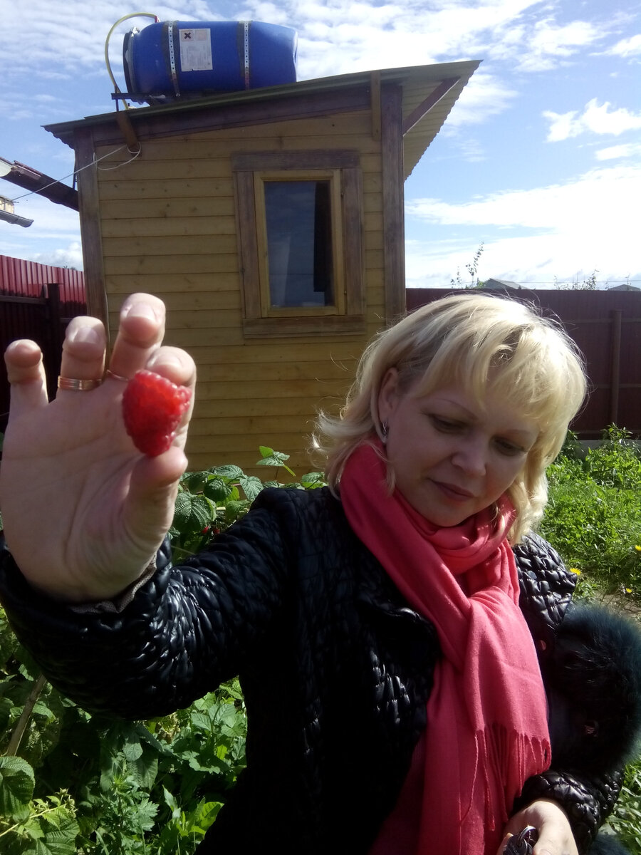 Малина в сентябре
