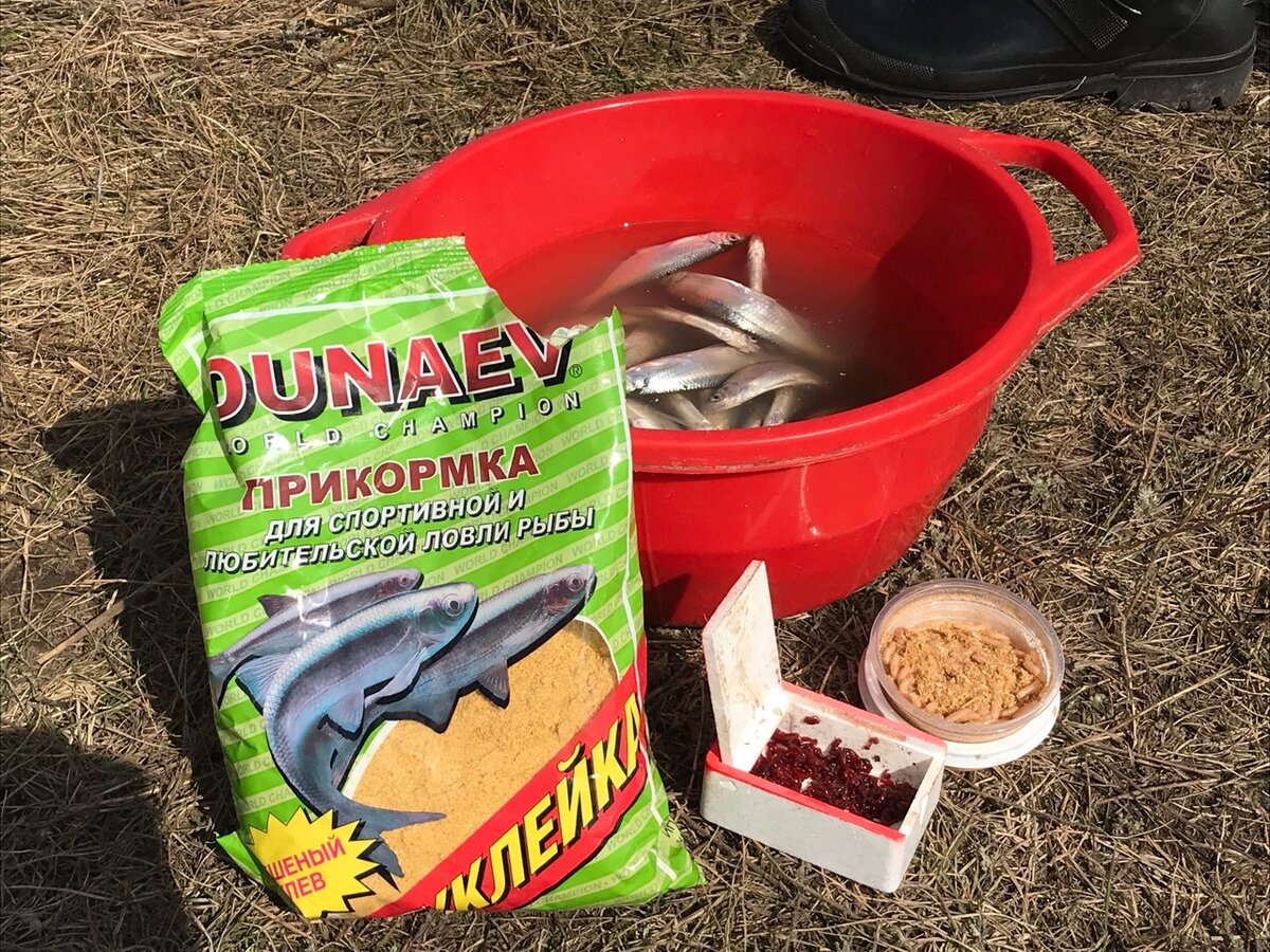 используемый прикорм для ловли уклейки