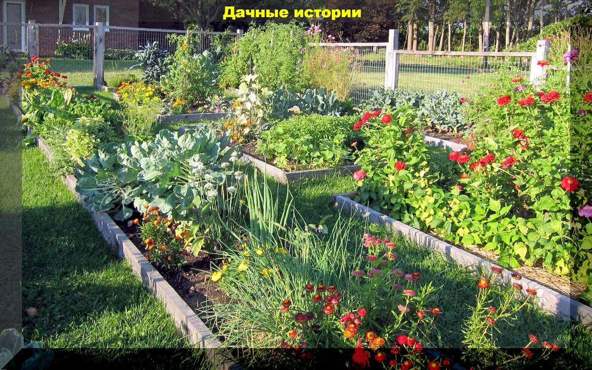 https://vk.com/photo-159774511_457253420
