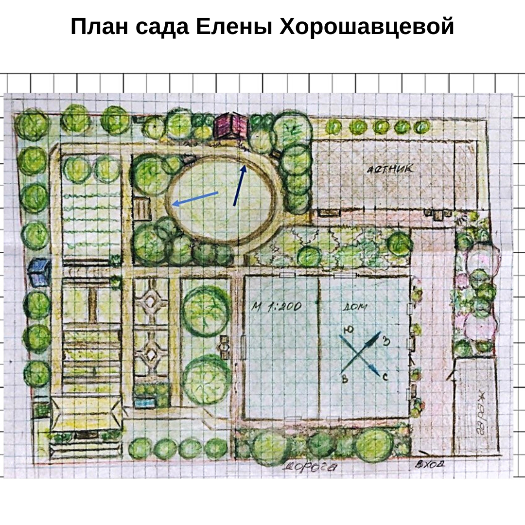 В Ботаническом саду Петра Великого расцвели первые сакуры Blog Fiesta