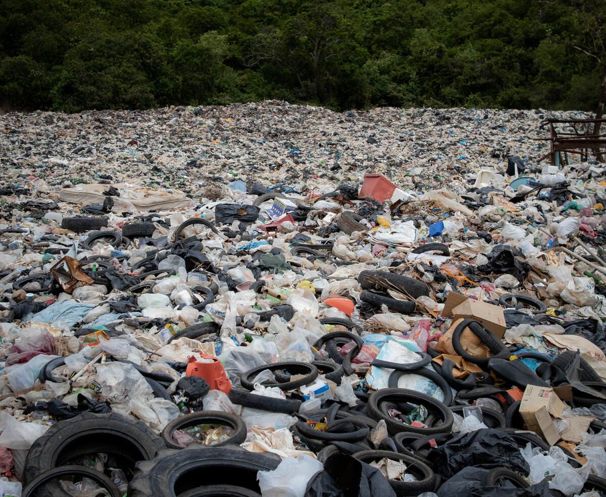 Фото: pexels.com