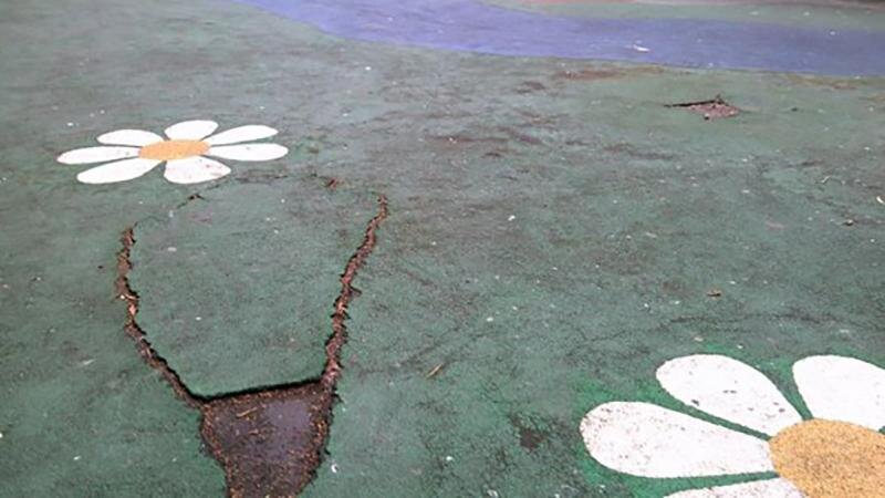    Фото: пресс-служба администрации Санкт-Петербурга