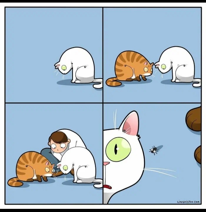 Ещё раз котикииииии!!!!🌸💞💞