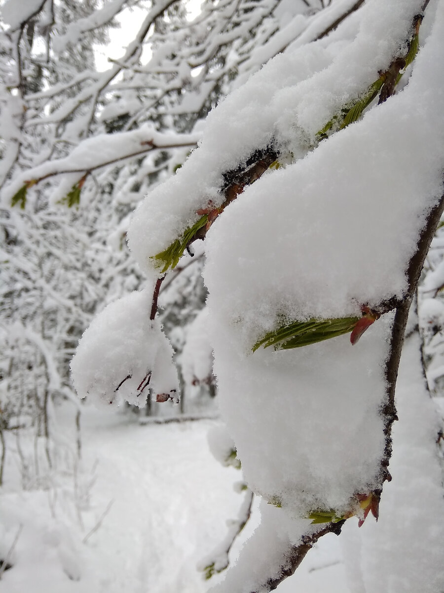 Выход из палатки в открытый космос зимы на разведку