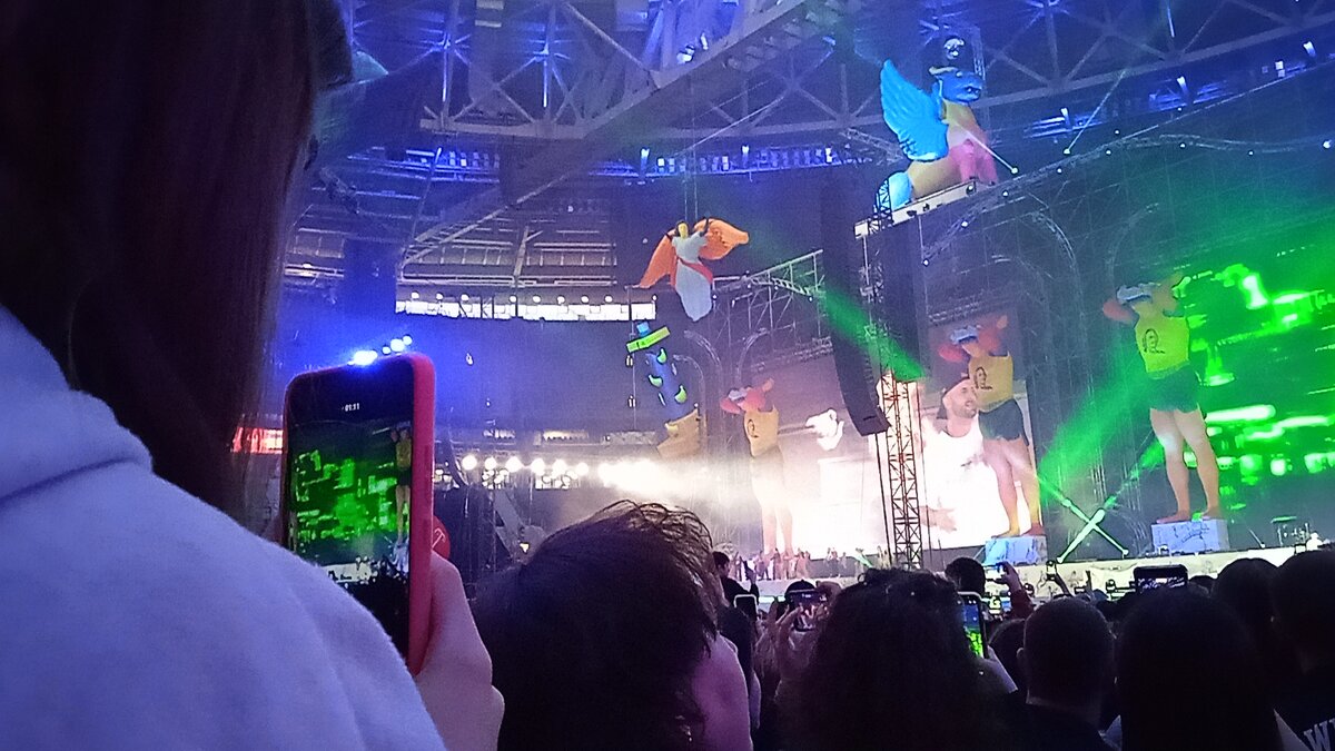 На концерте