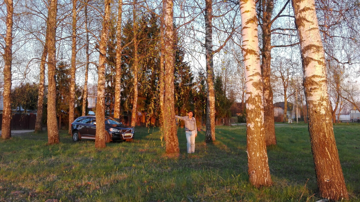 родовое гнездо