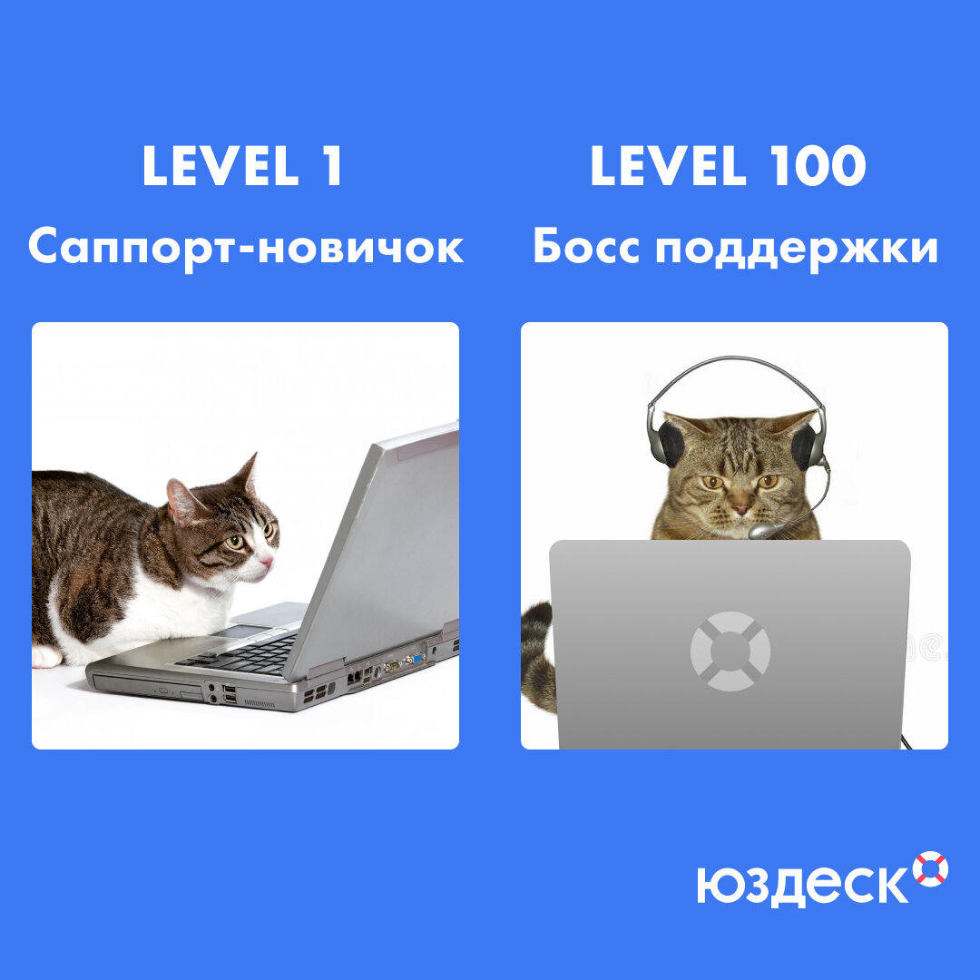 Отдел маркетинга сказал, что коты на картинке повышают охваты. Сейчас проверим