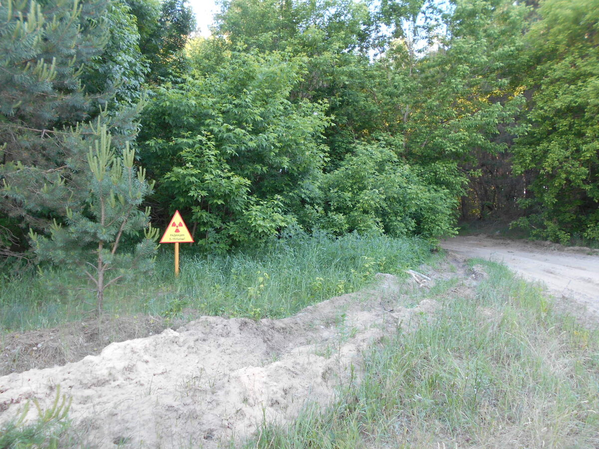 Знак радиоактивной опасности у леса.