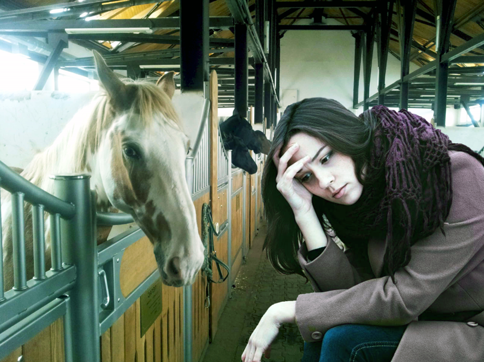 девушка с лошадью. невеста часто стала уходить в конюшню установив. фотограф ферроэнквинолог сергей крылова. Western horse конный клуб. смешной принц на коне.