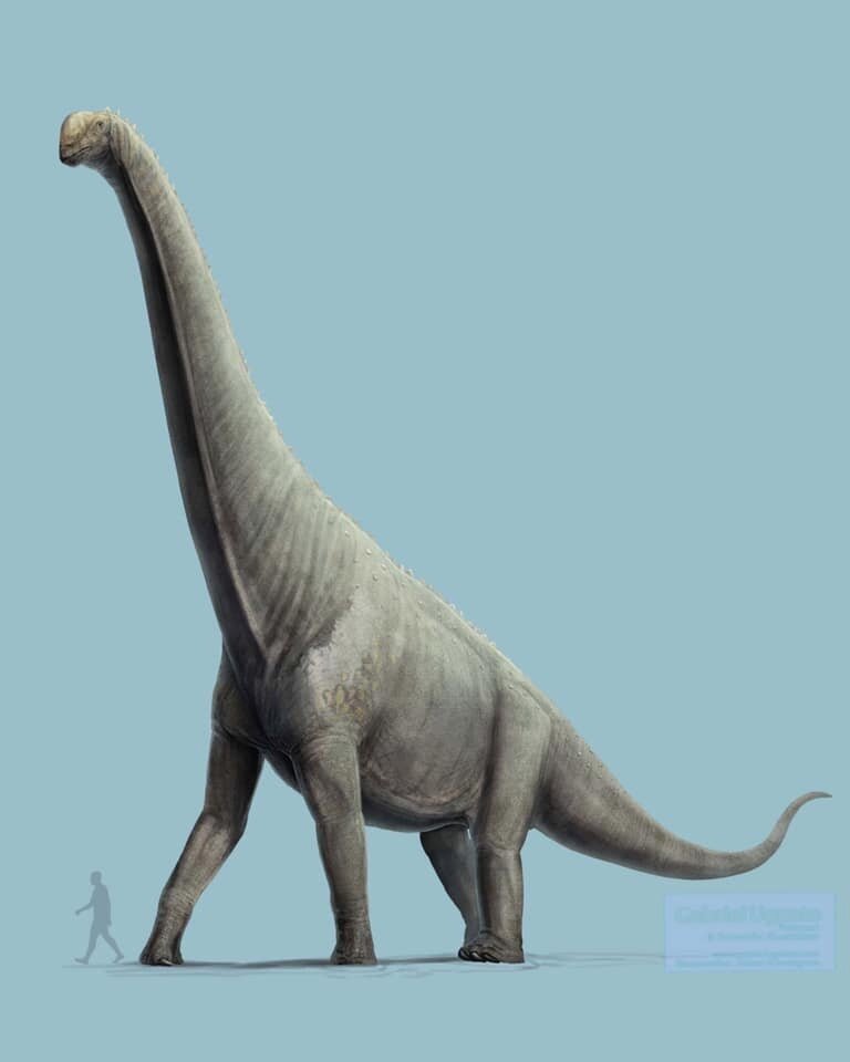 Не вляпаться бы в это двуногое…