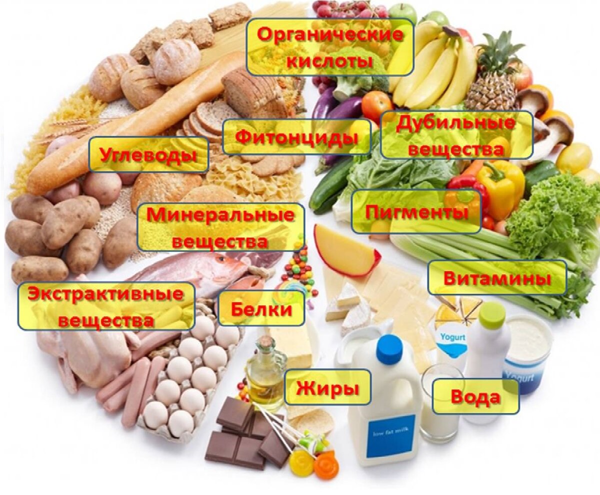 Таблицы калорийности, пищевой ценности и химического состава продуктов питания и готовых блюд