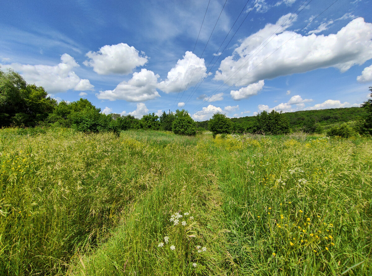 село круглое азовского района фото