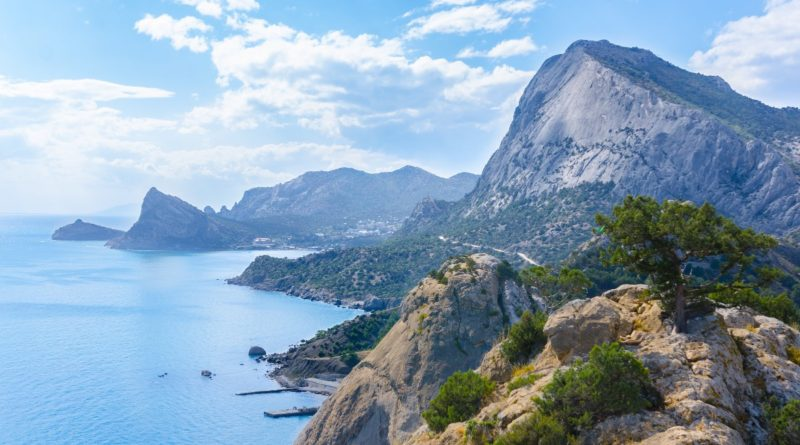 Фото из Яндекс.Картинок 