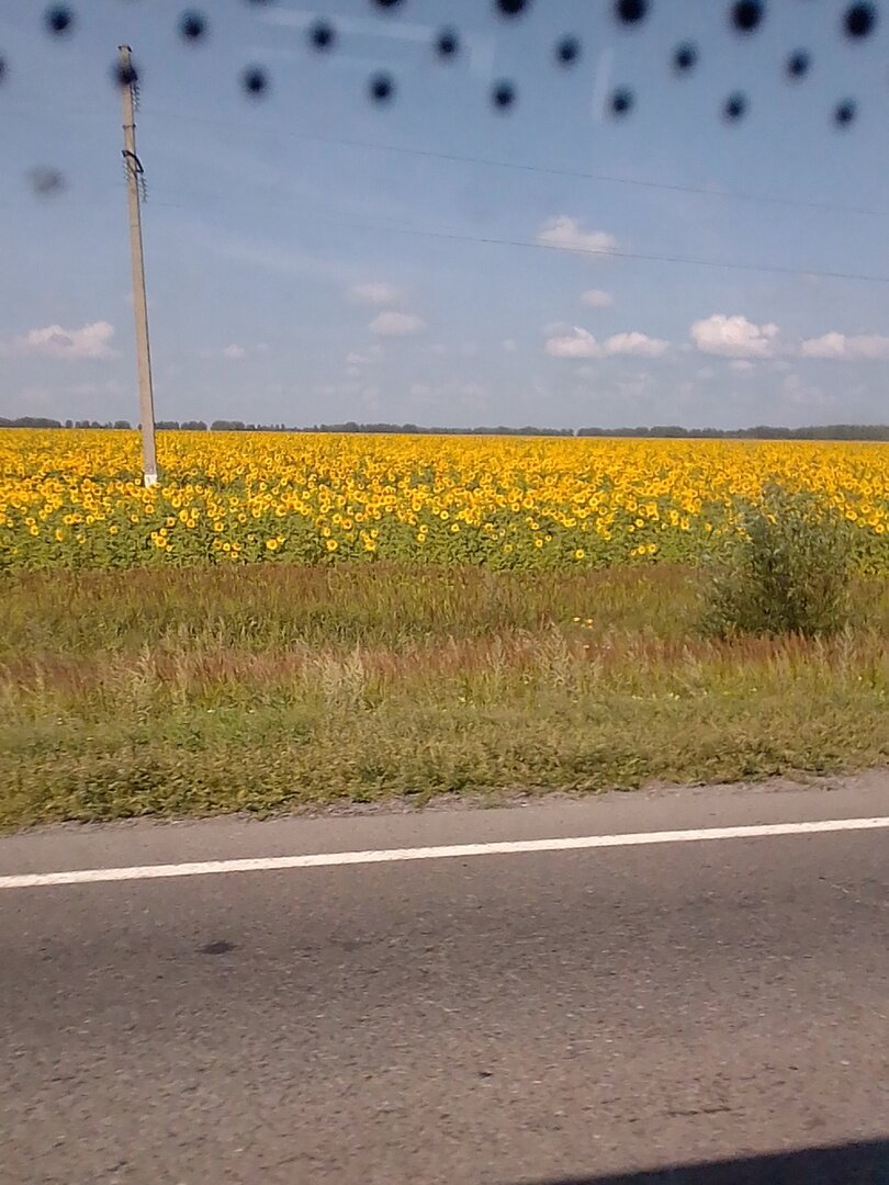 По дороге в наше село