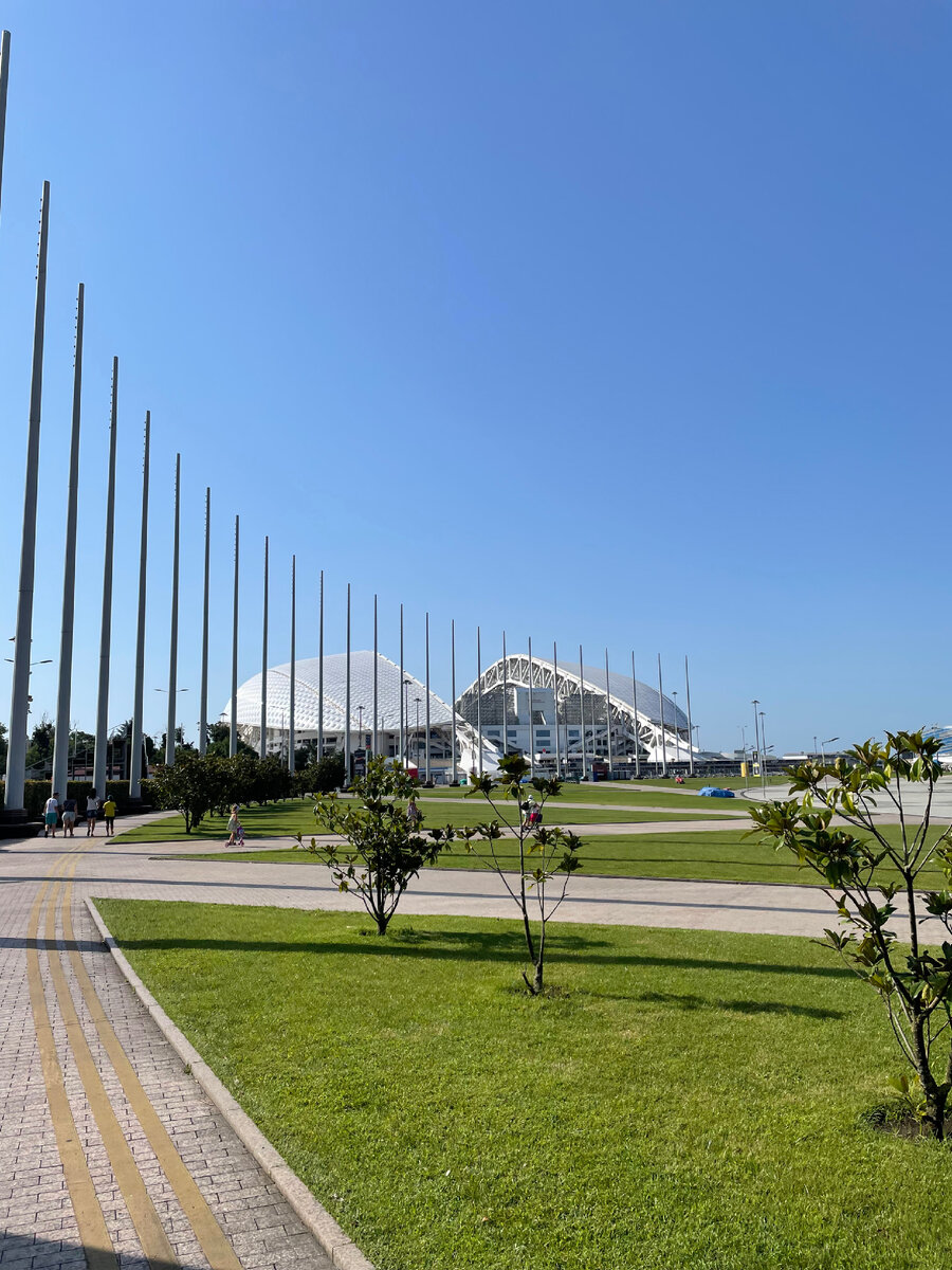 Почему нельзя посадить сразу взрослые деревья, чтобы они создавали тень?