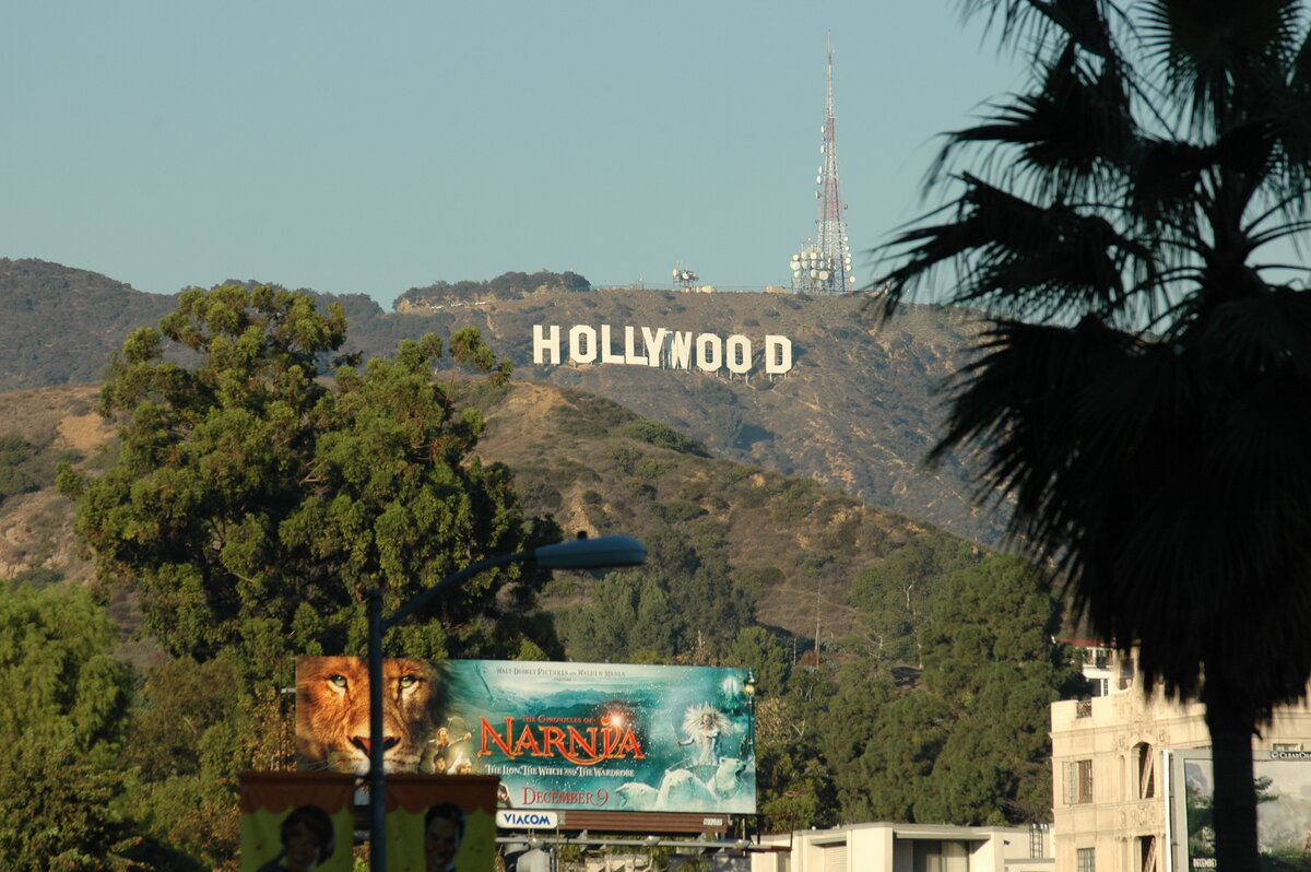 Фото С. Скрипника. 