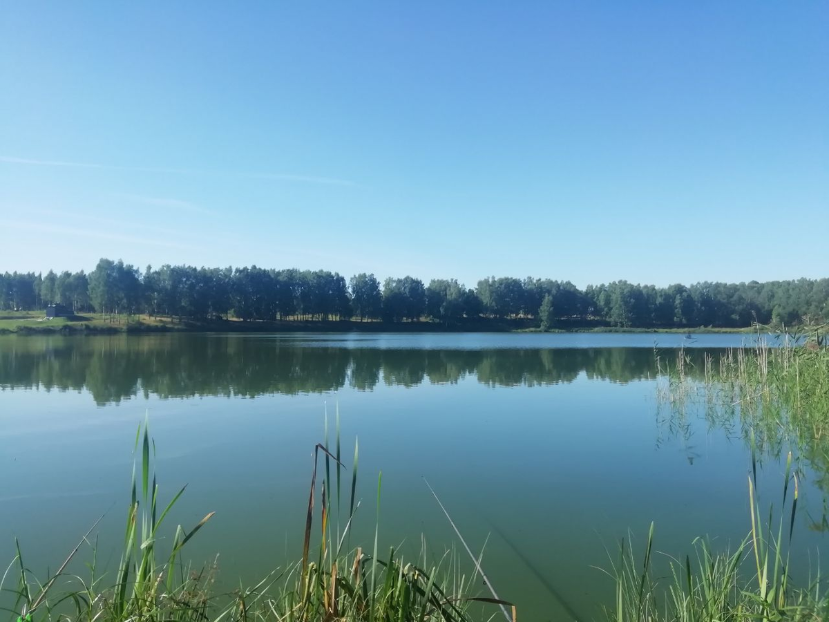 Наше озеро