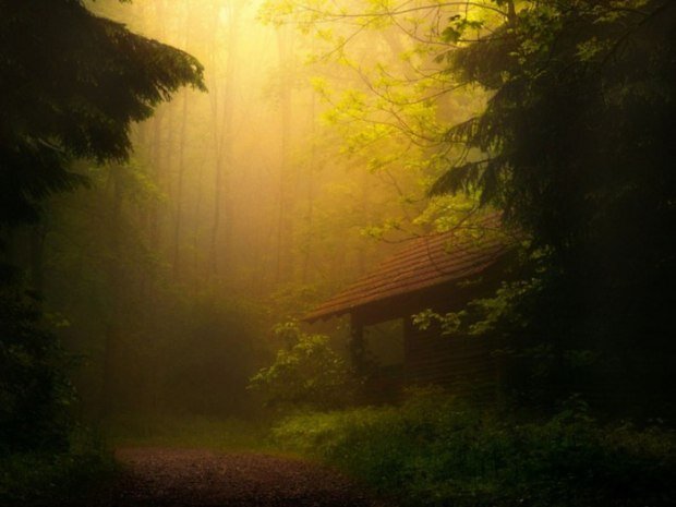 Источник картинки: интернет.