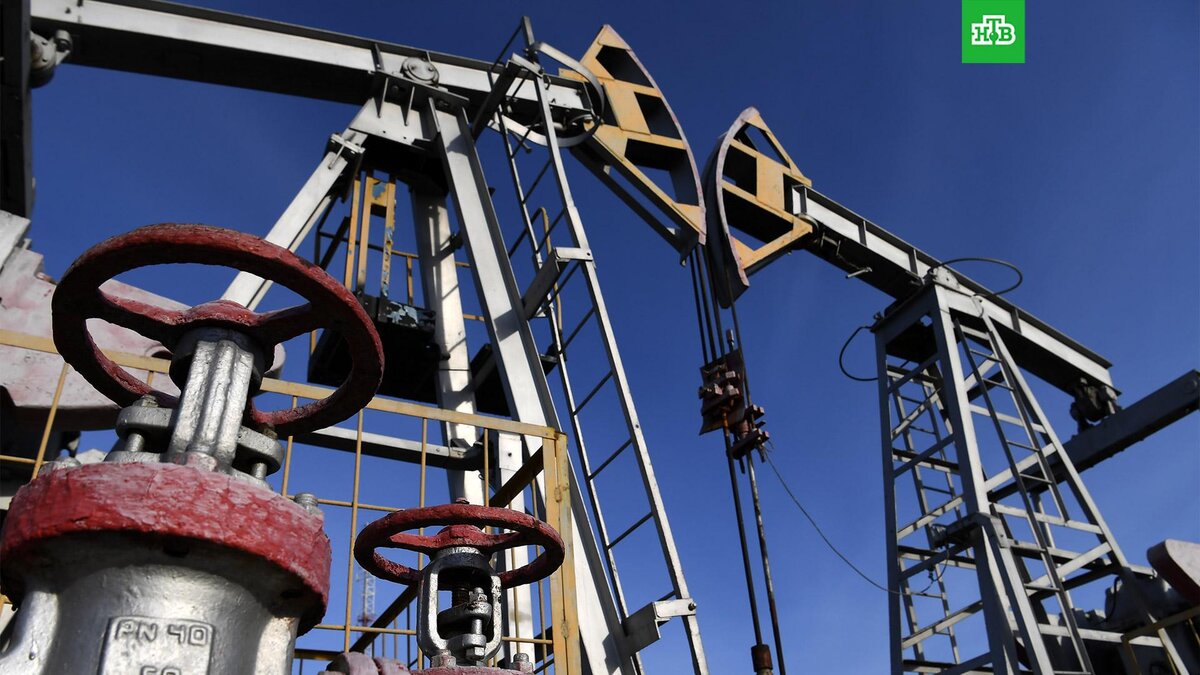    Фото: РИА Новости © 2022, Максим Богодвид