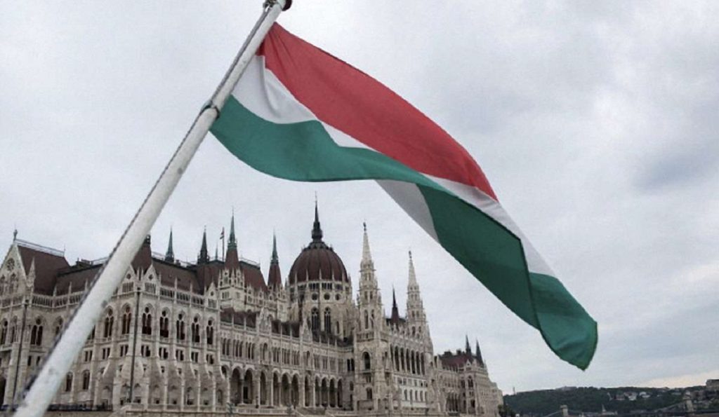    Фото: Pixabay Елена Стеценко