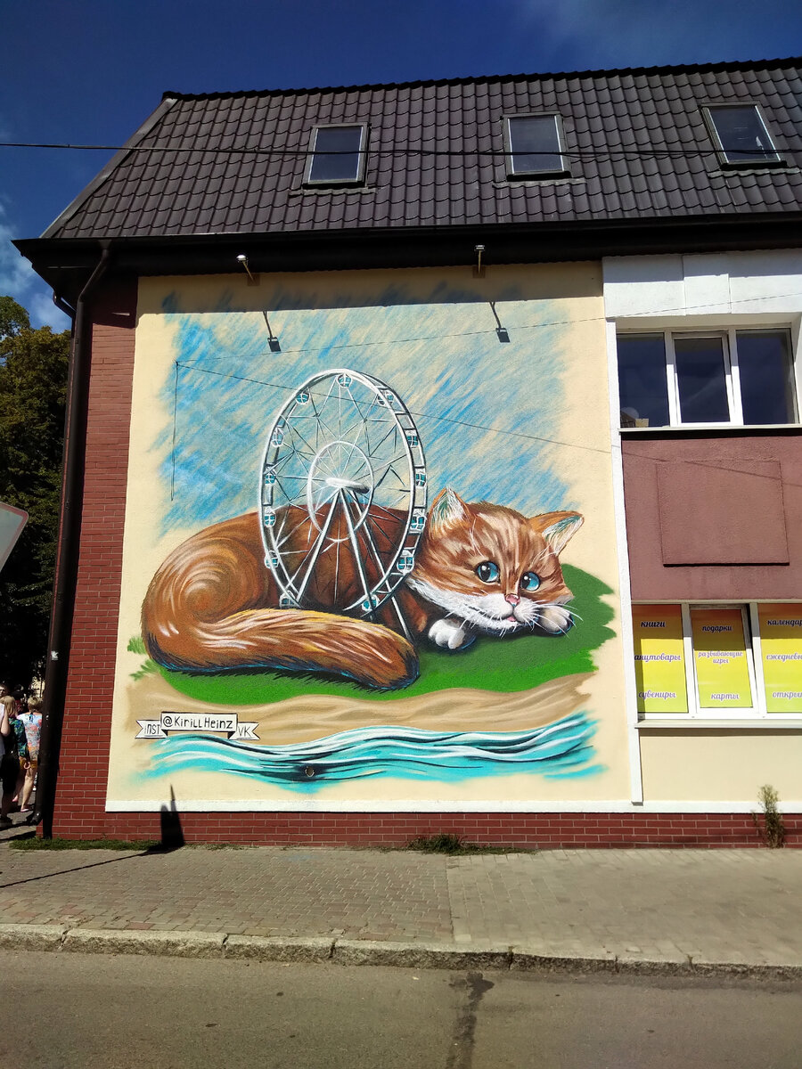 Да и самих котов и кошек в городе великое множество. + в городе есть Музей котов