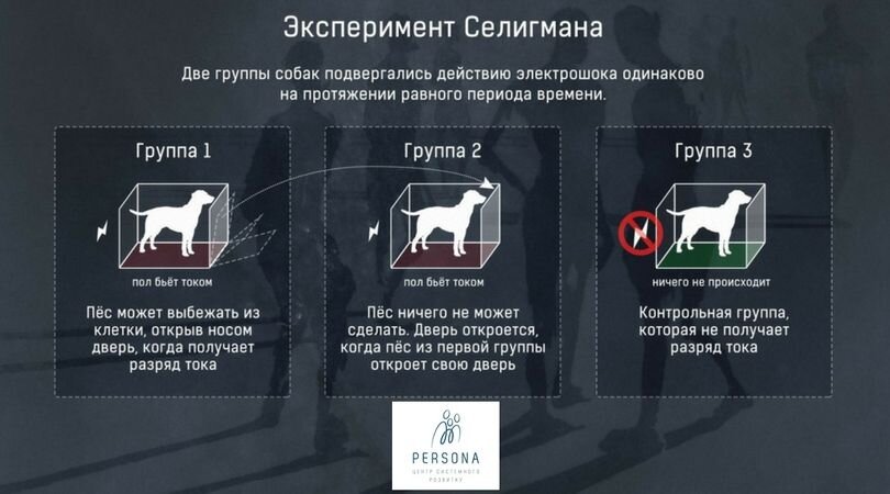 Олег читая в туалете рефлекс условный приобрел ему теперь в библиотеку категорически нельзя