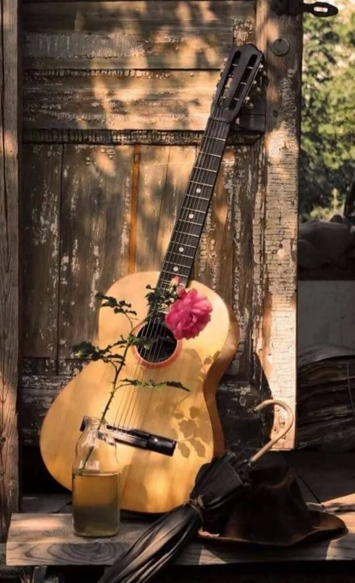 Картинка взята из интернета 