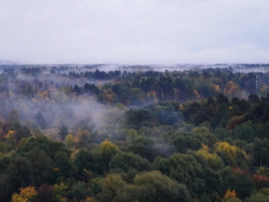   Анастасия Петрова