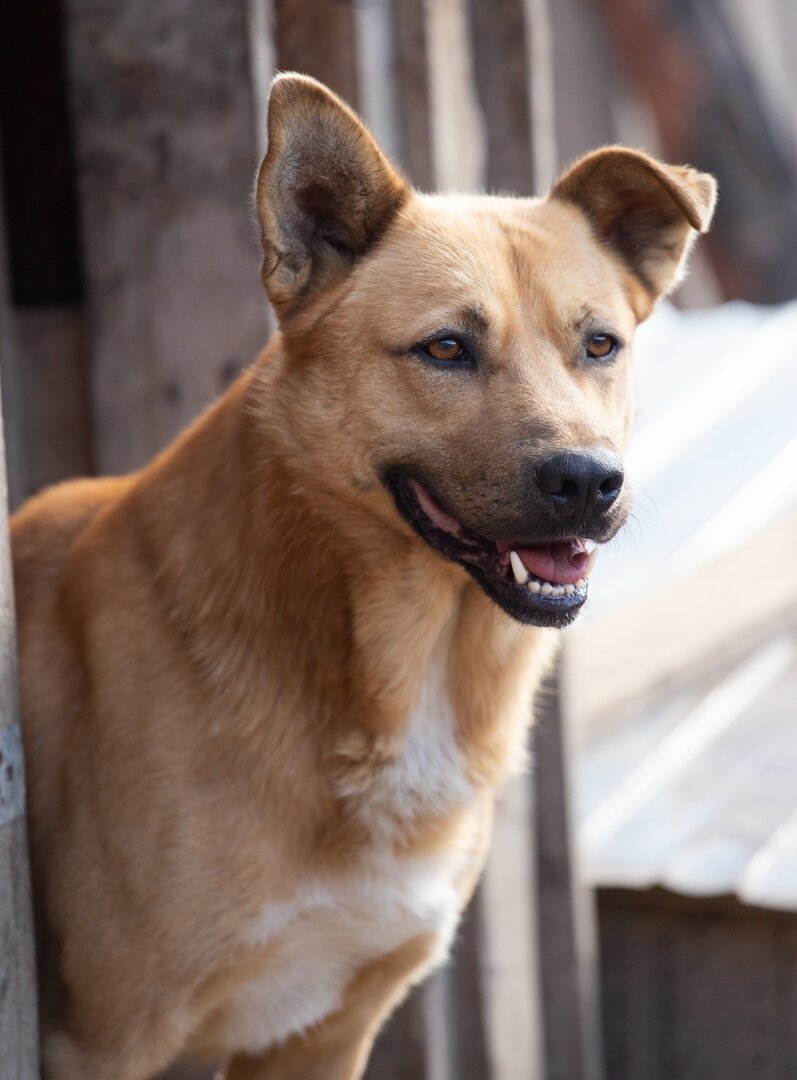 Марлик сейчас