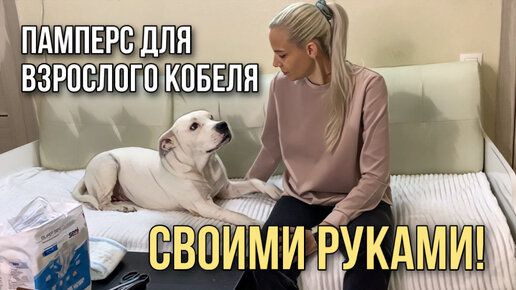 Пояса для кобелей