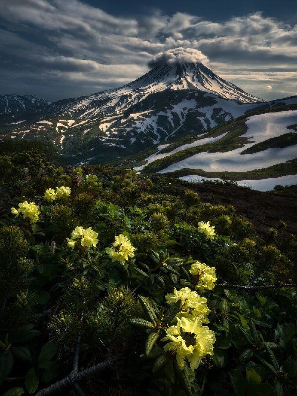 Фотография взята из открытых источников