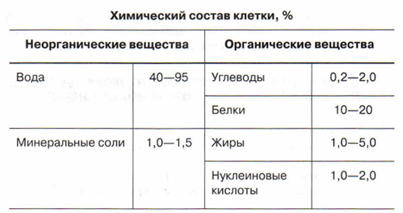 Химический состав клетки 5. Химический состав клетки таблица. Химический состав клетки таблица биология. Химический состав клетки 5 класс биология таблица. Химические соединения клетки таблица биология.