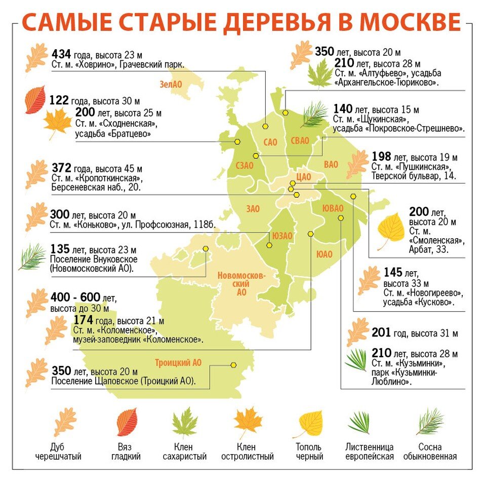   Алексей СТЕФАНОВ