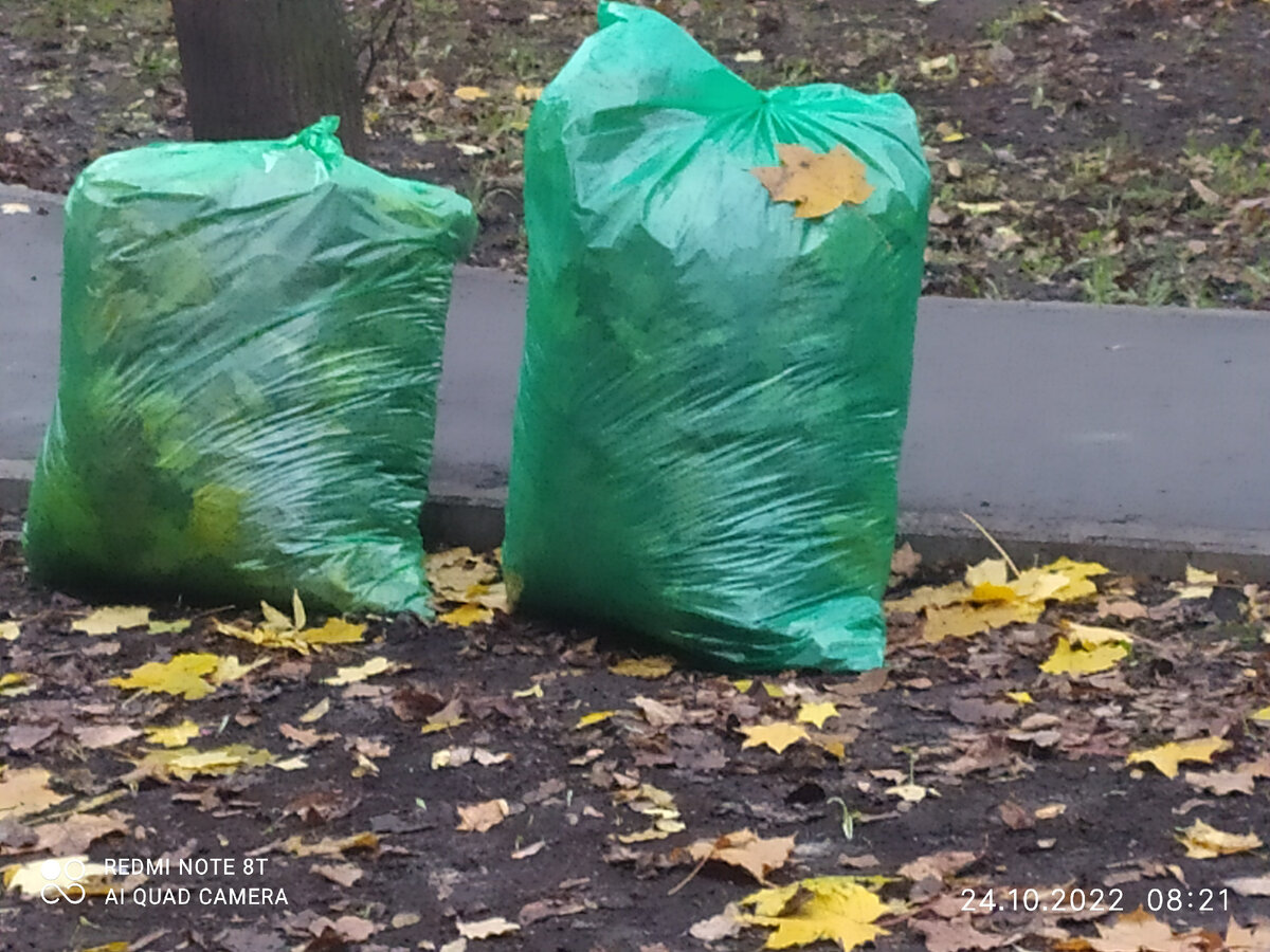 Битком мешки набивают, плотно связывают. Фото автора.