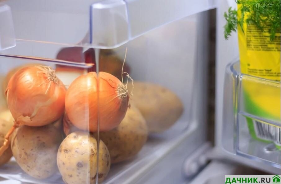 Подальше от холодильника