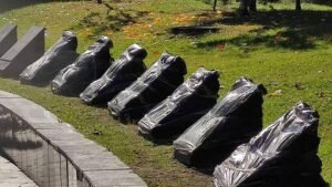    Фото: grodno24 Юлия Карягина