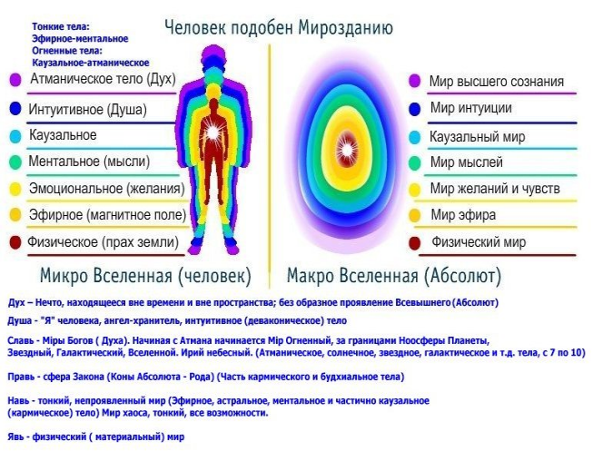 Тонкие тела