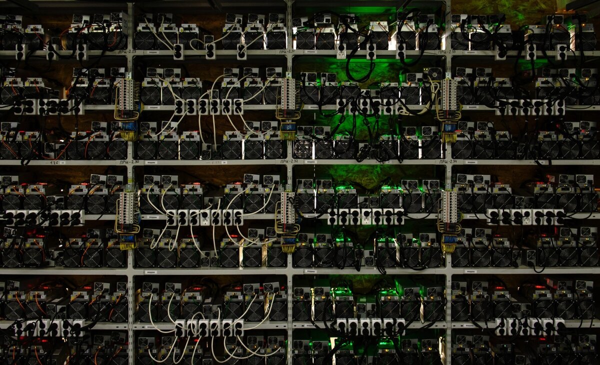 Стеллажи с фермами для майнинга криптовалют. Алексей Даничев / РИА Новости