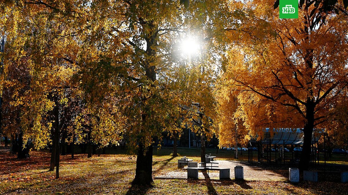    Фото: РИА Новости © 2022, Владимир Федоренко