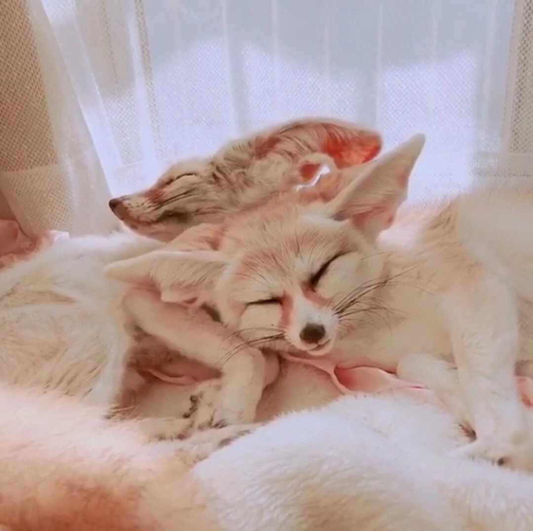 Вместе уютней 💛