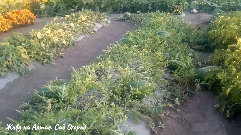 конец сезона