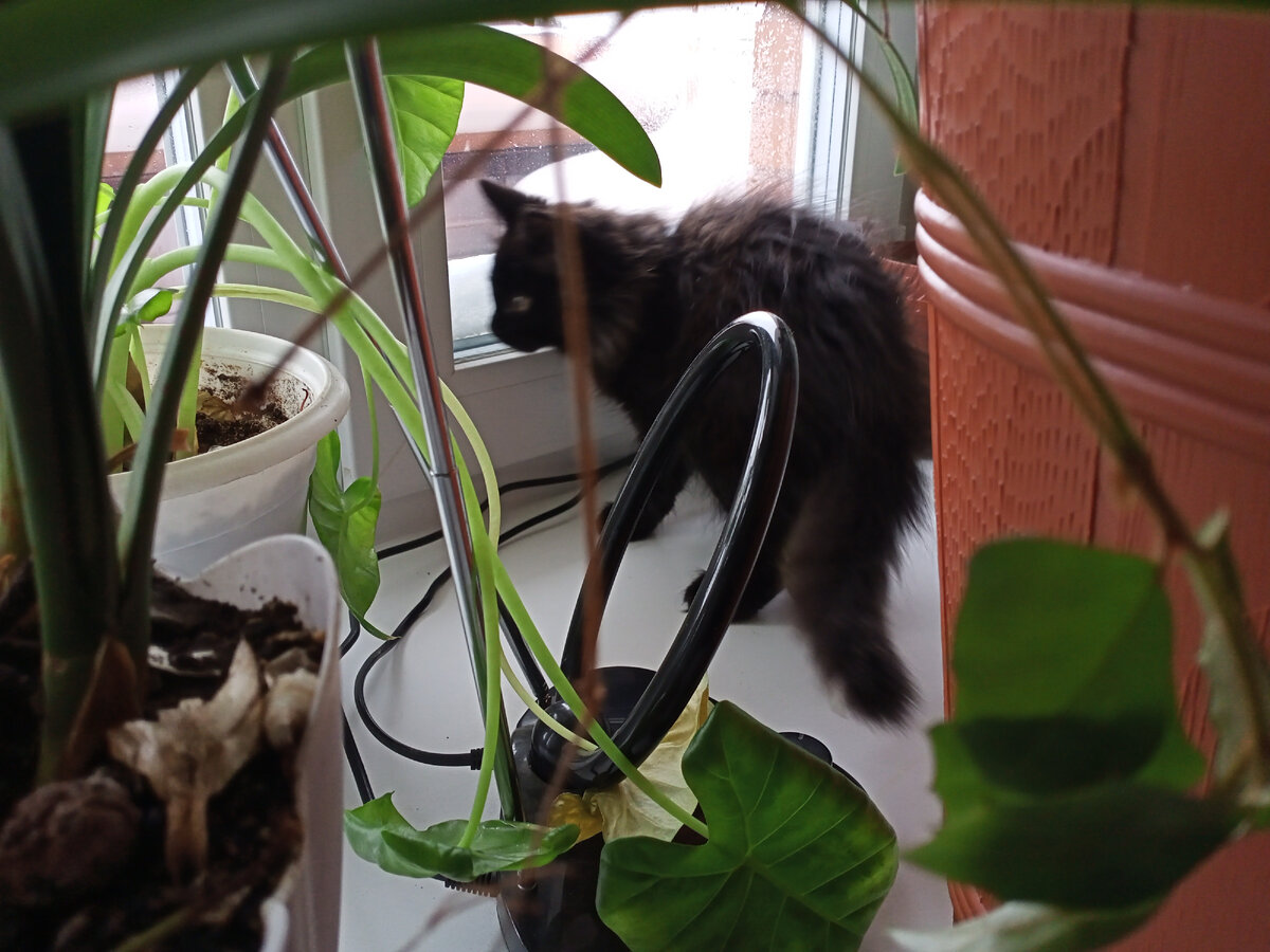 Смотрю- где же мои апартаменты?