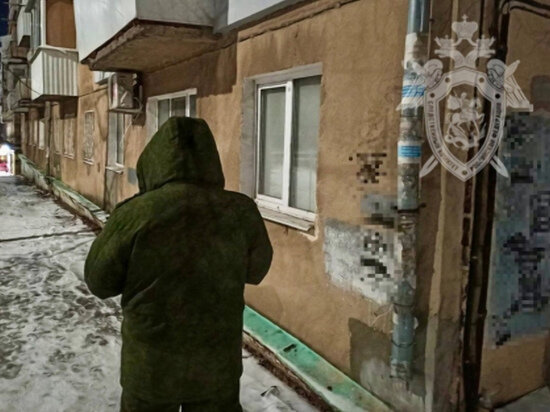     Фото: СУ СК РФ по Саратовской области