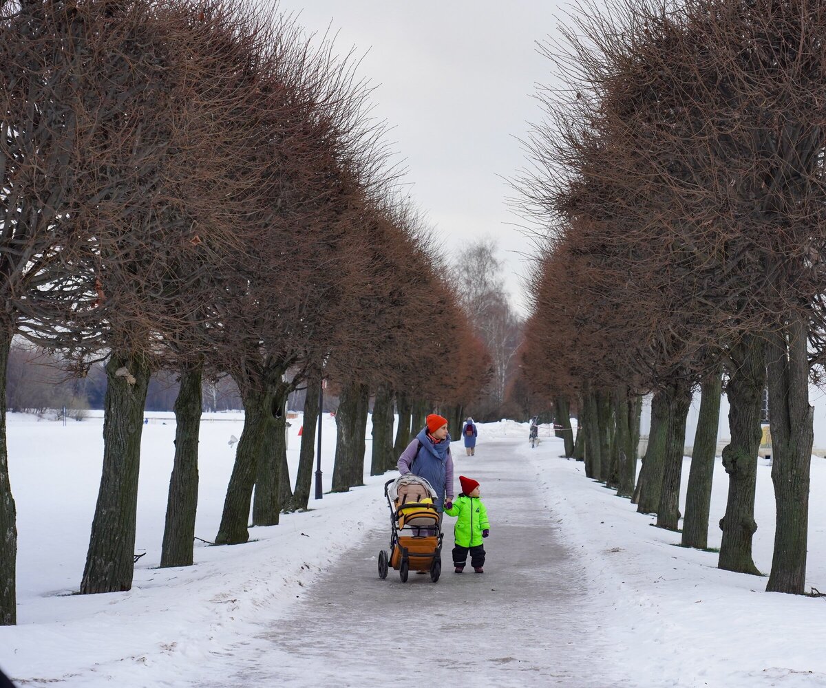     В Москве начнется потепление с 10 января